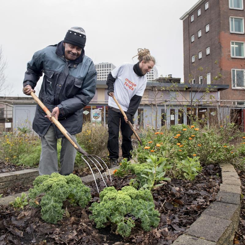 Vrijwilligers in de tuin
