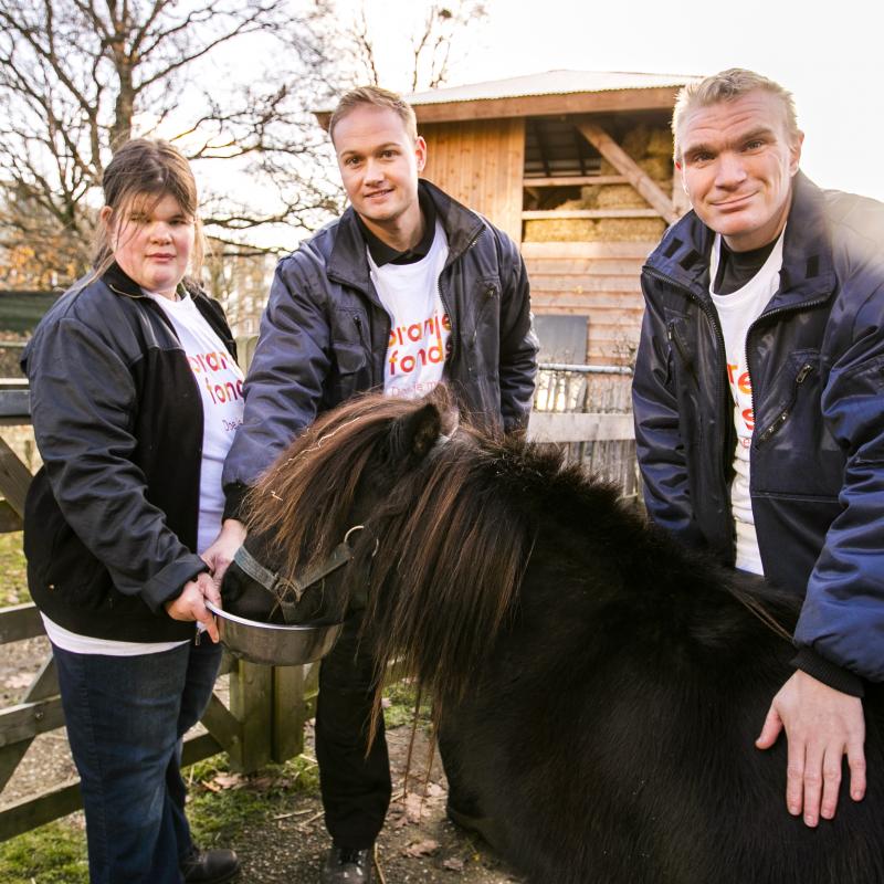 Vrijwilligers en paard